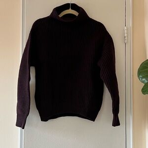 Aritzia Ribbed Cowl-Neck Sweater in Deep Plum